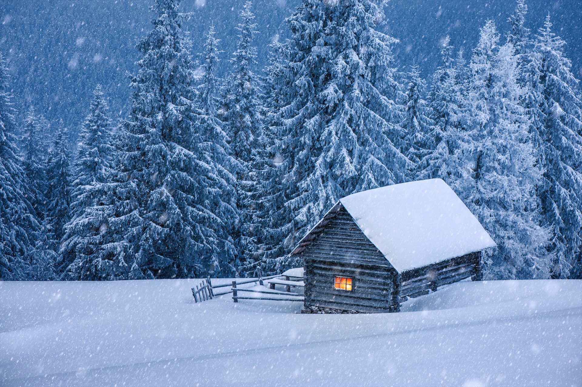 hiver paysage neige hiver arbres de noël cabane cabane