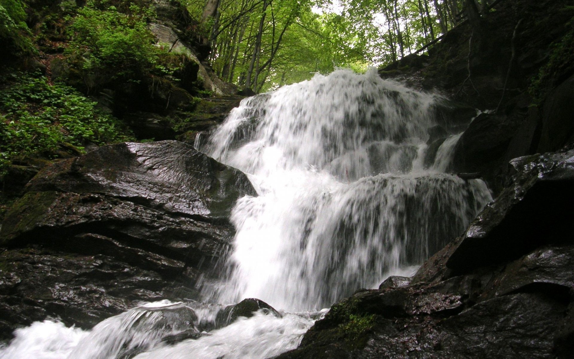 ucrania cárpatos río de montaña cascada