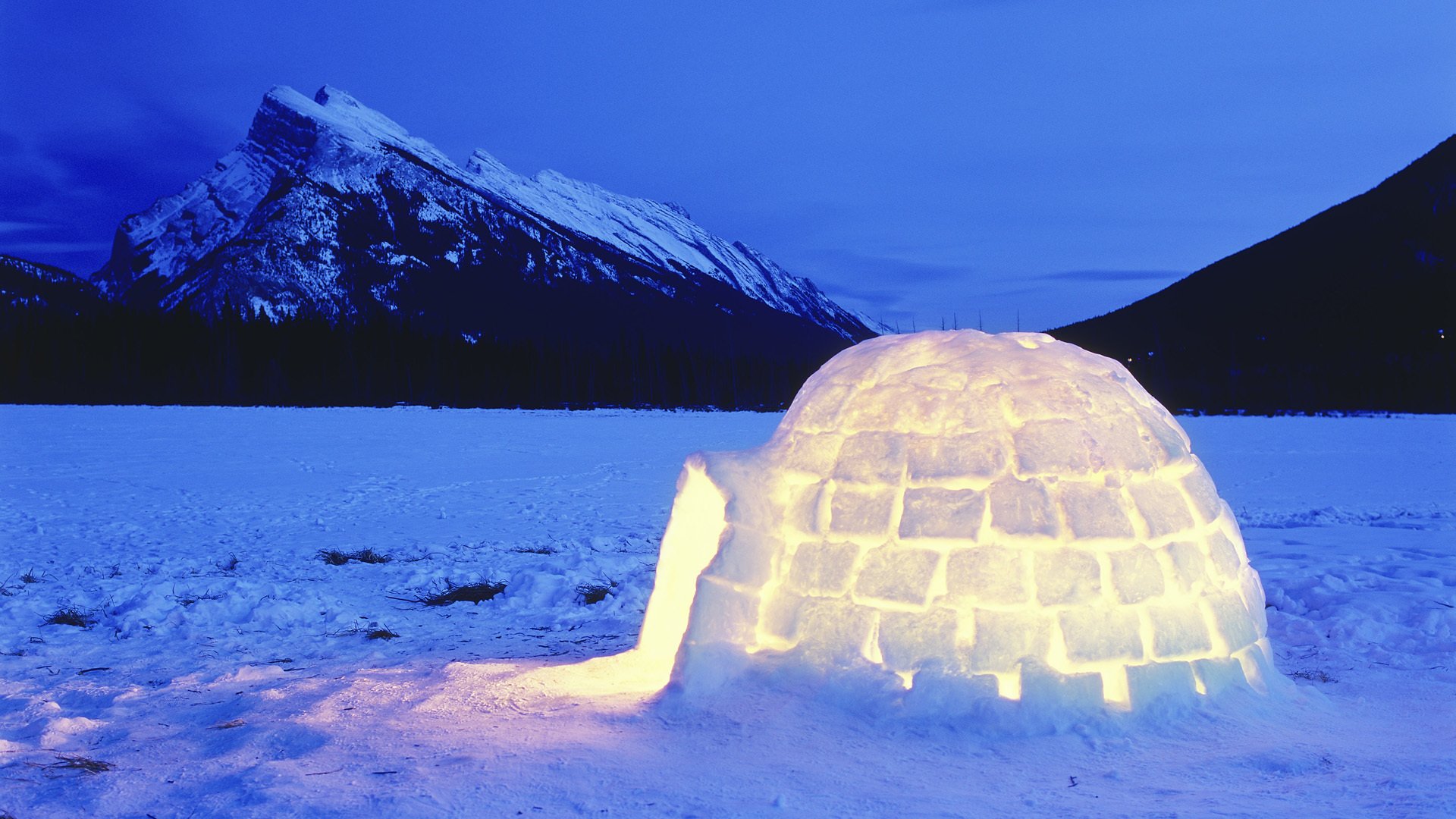 igloo montagnes neige hiver lumière