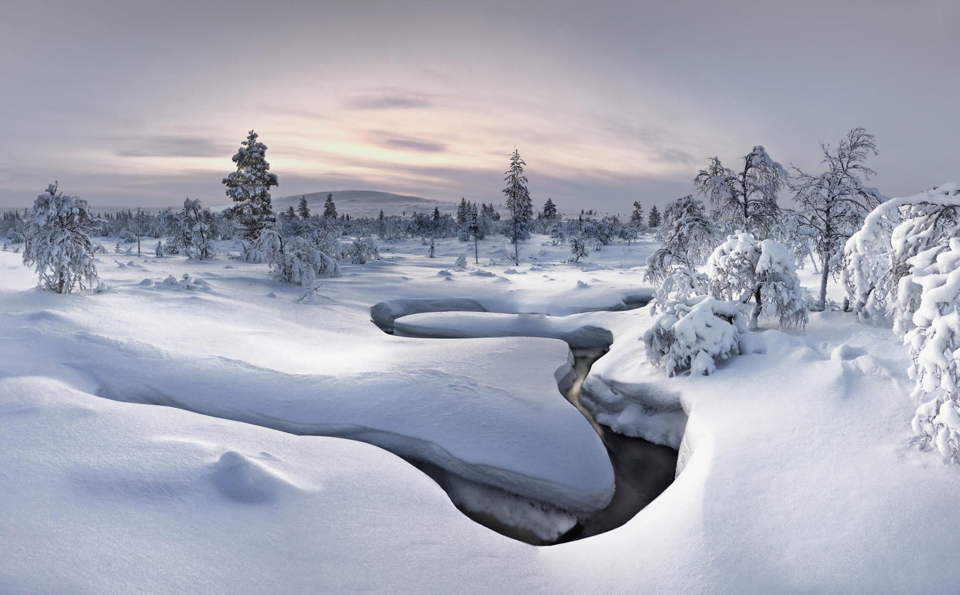 inverno neve foresta natura fiume