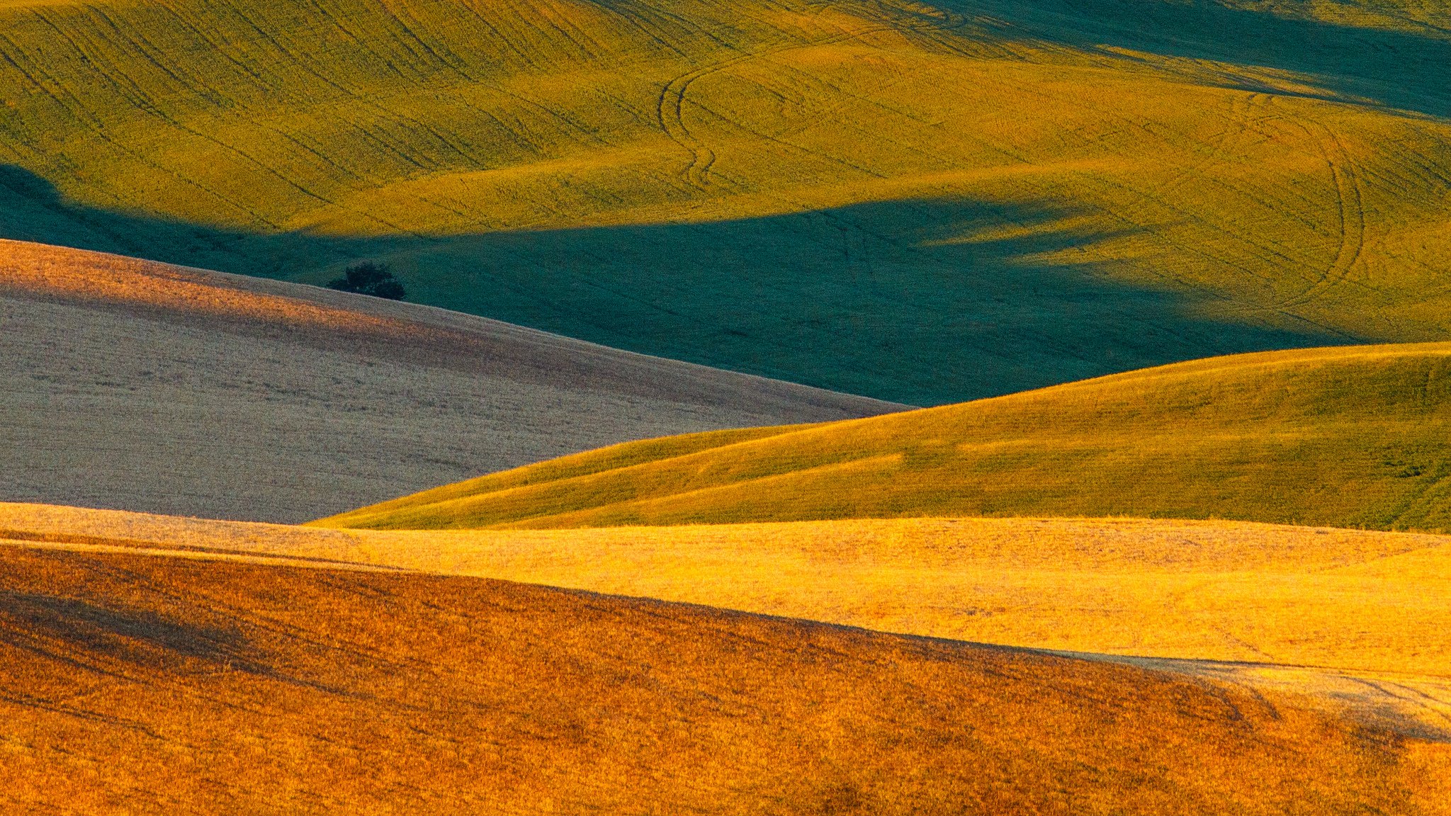 naturaleza italia toscana campos alfombras