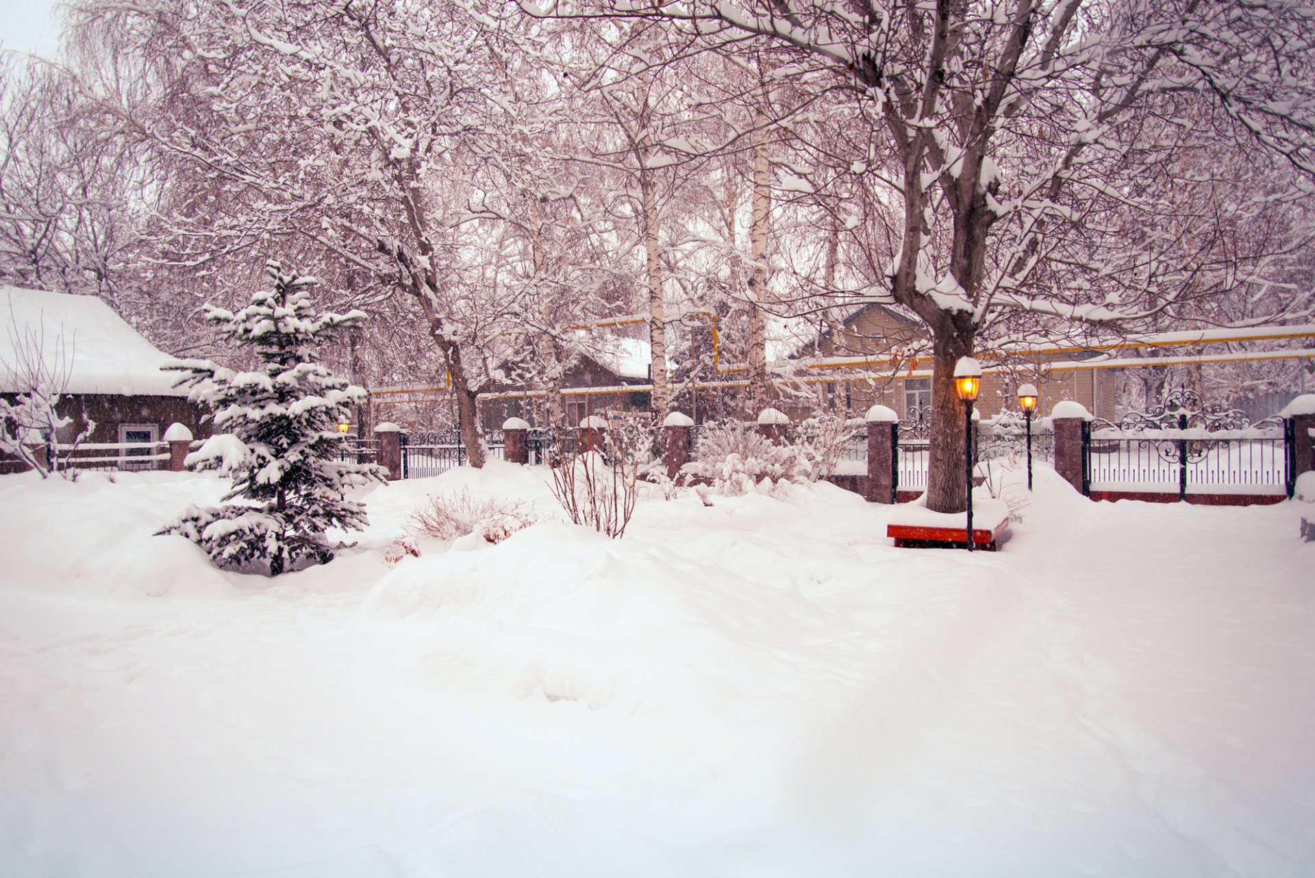 yard winter snow tree christmas tree bush lamps fence road street