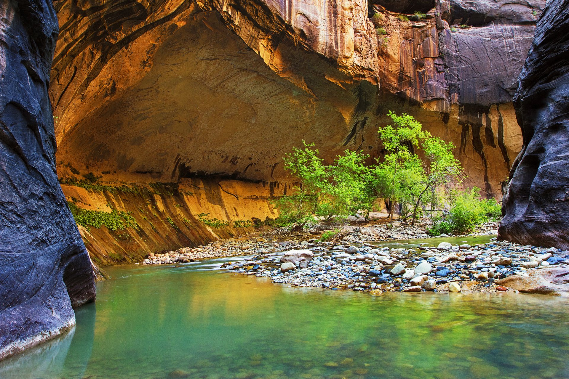 río piedras cañón rocas árboles hojas