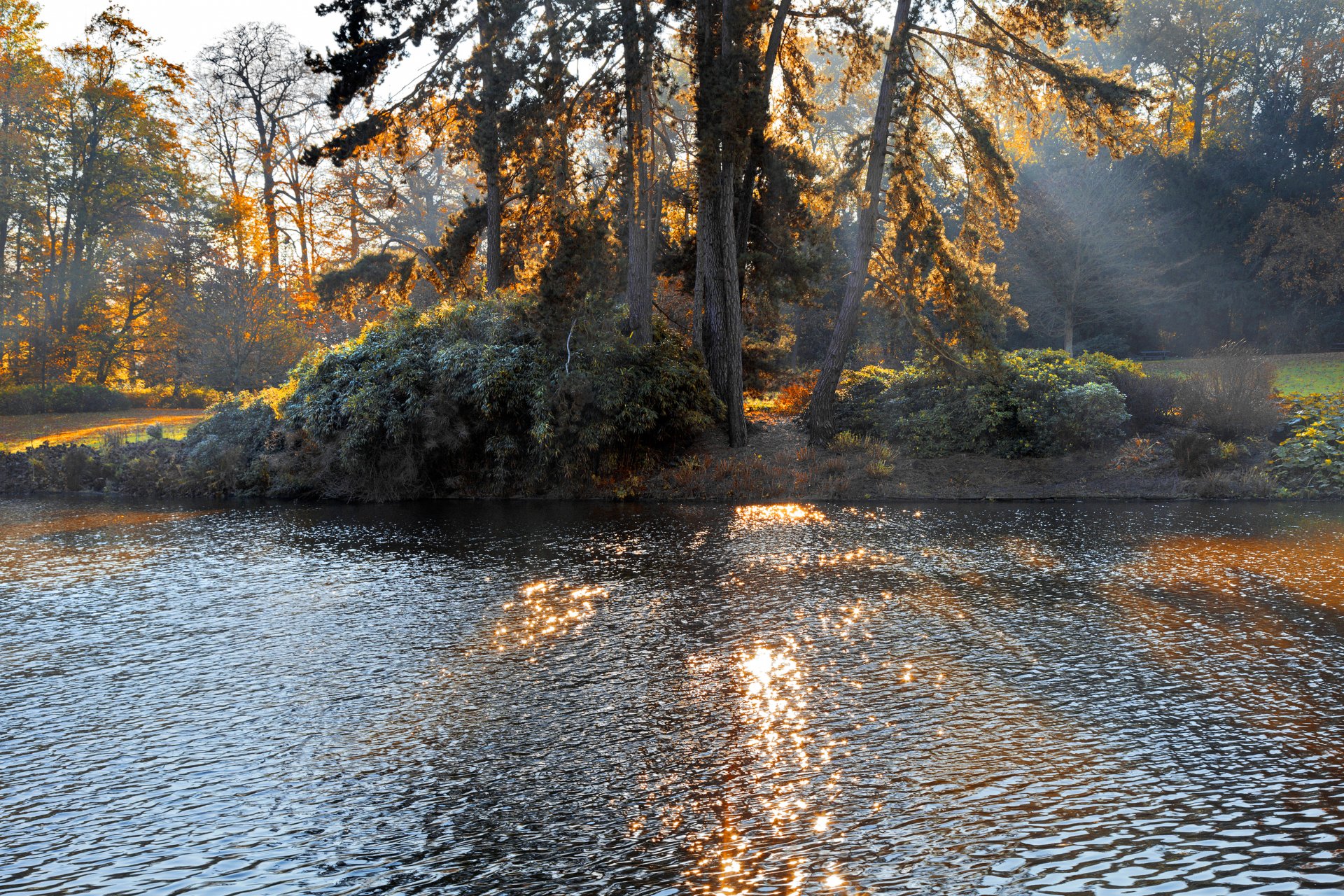 herbstpark see bäume natur landschaft wald sonnenlicht