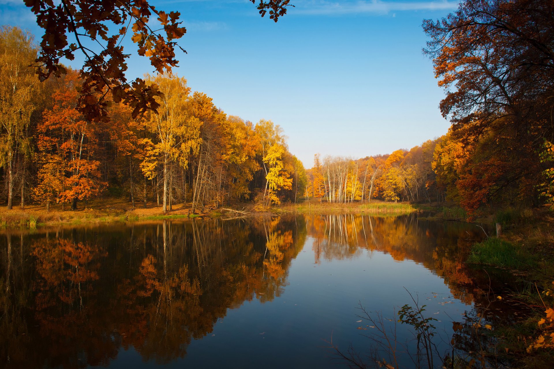 nature autumn tree pond lake sky reflection paint