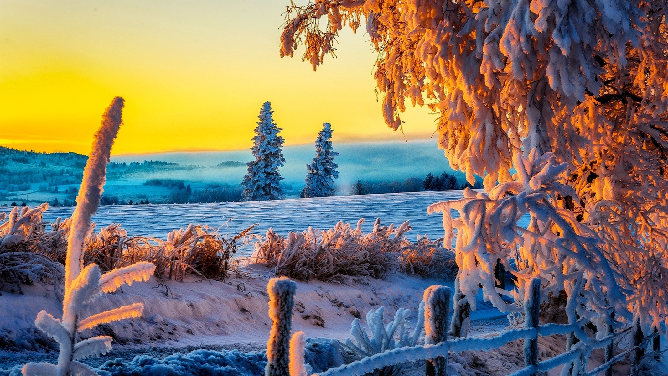 natura inverno neve strada alberi foresta cielo paesaggio inverno bianco fresco bello tramonto