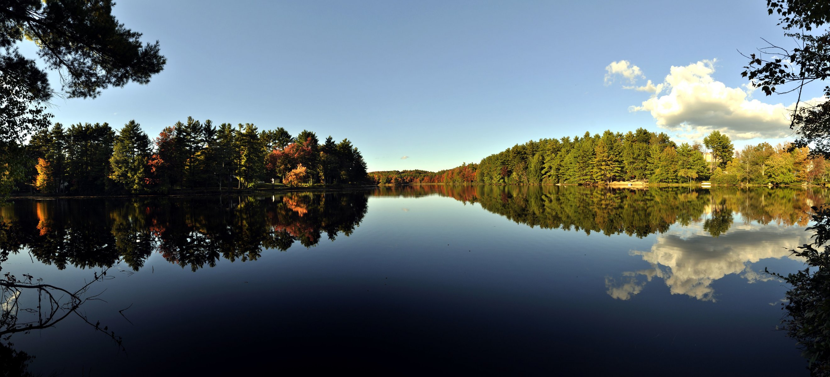 fiume sponde alberi distesa tranquilla