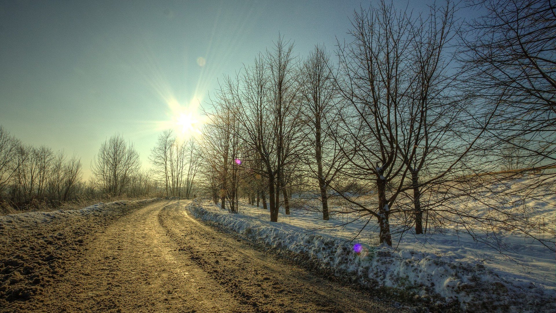 winter snow road dirt tree sun