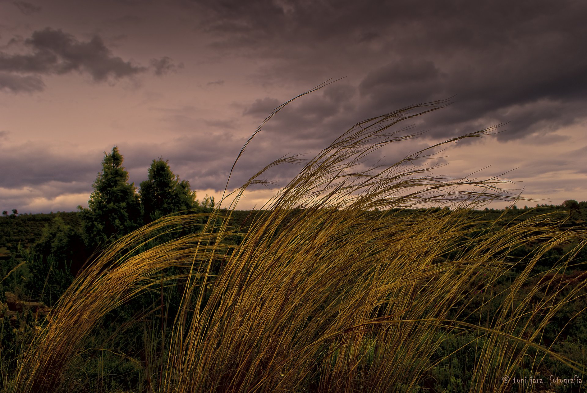 nuages herbe vent