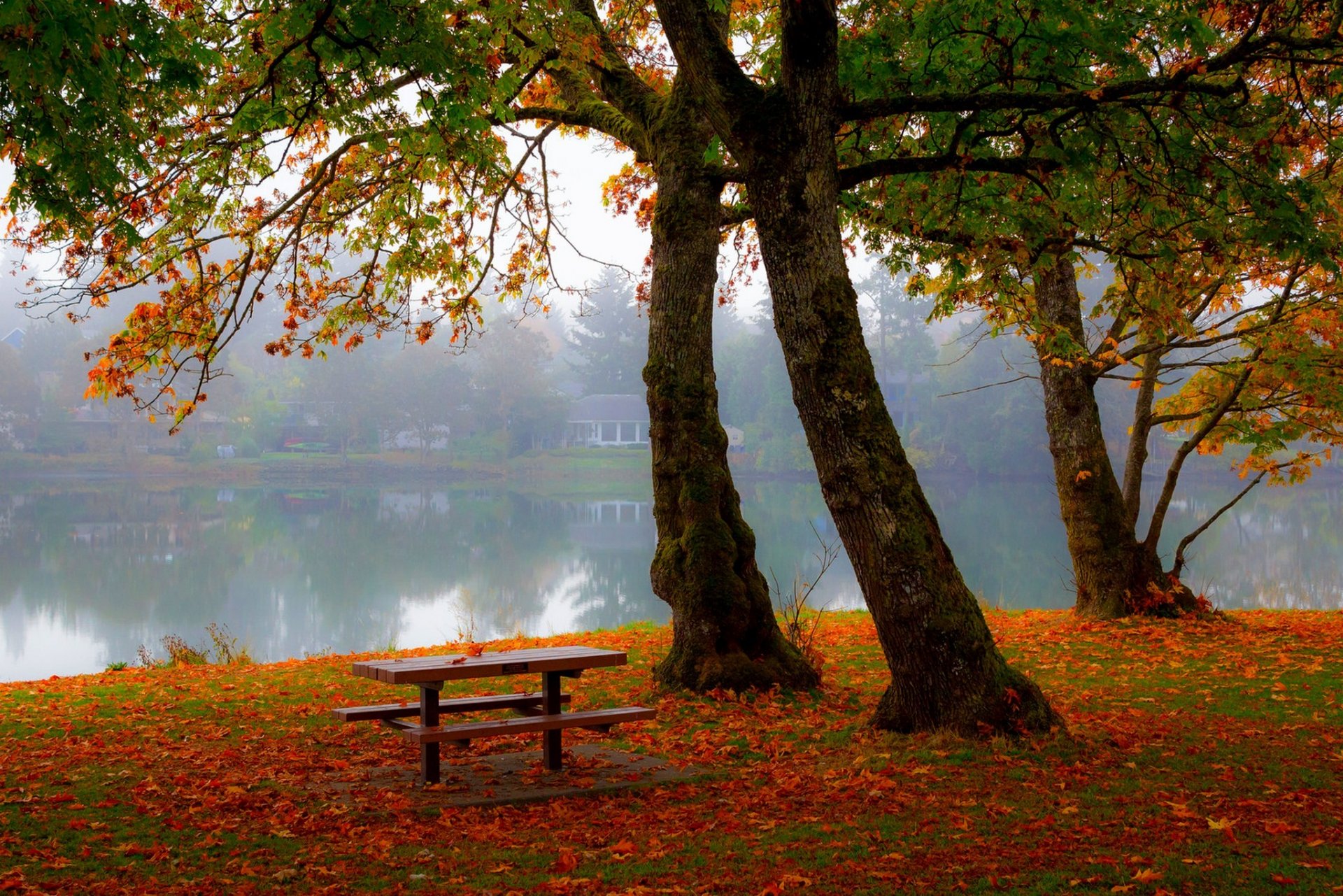 nature bench landscape forest tree autumn villa house architecture trees vila scenery view