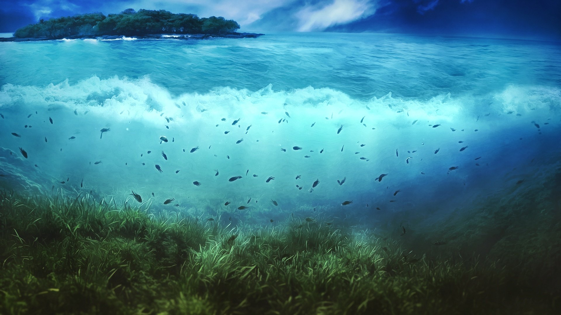 île arbres eau vagues algues poissons