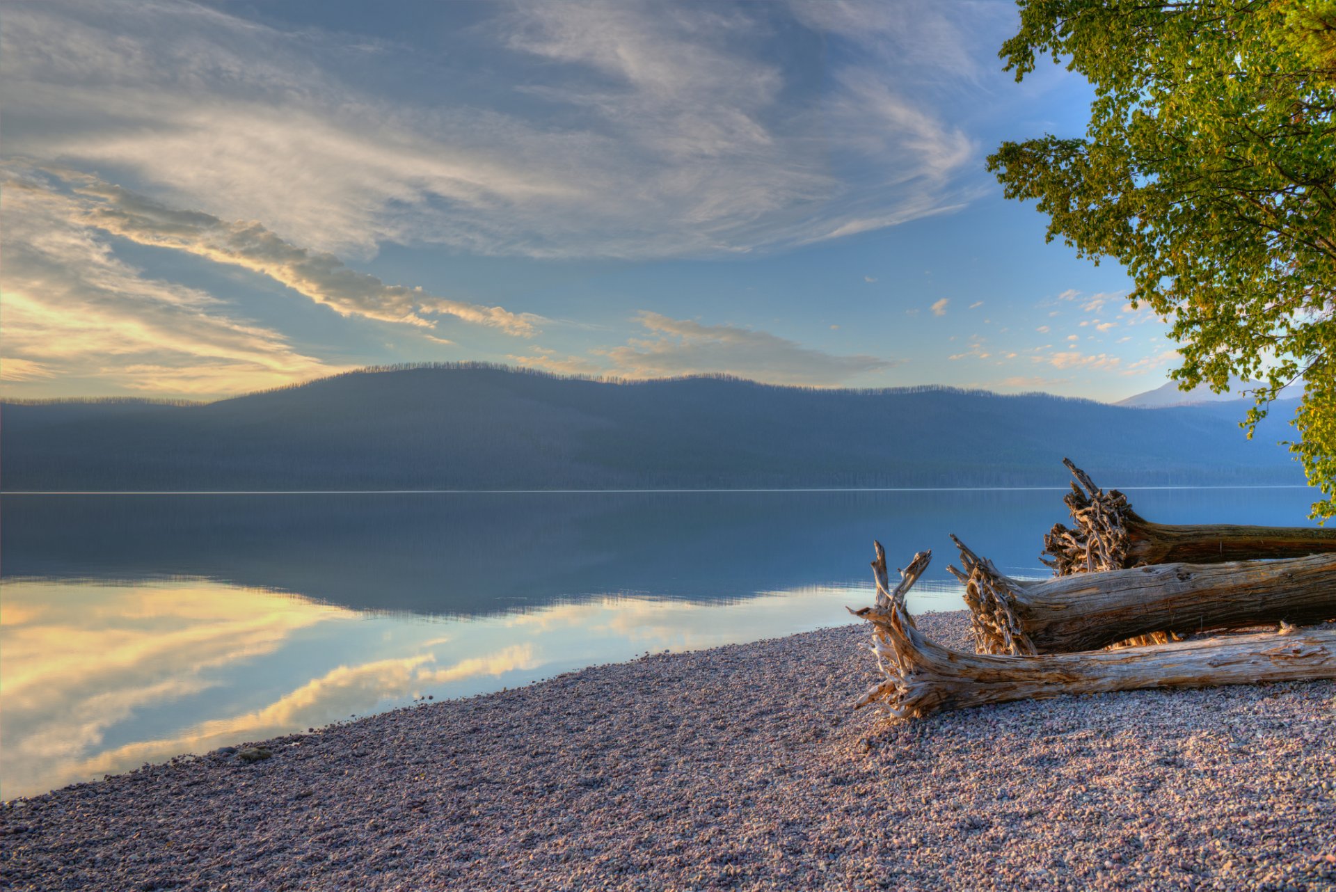 lake mcdonald glacier national park montana lake mountain forest beach tree