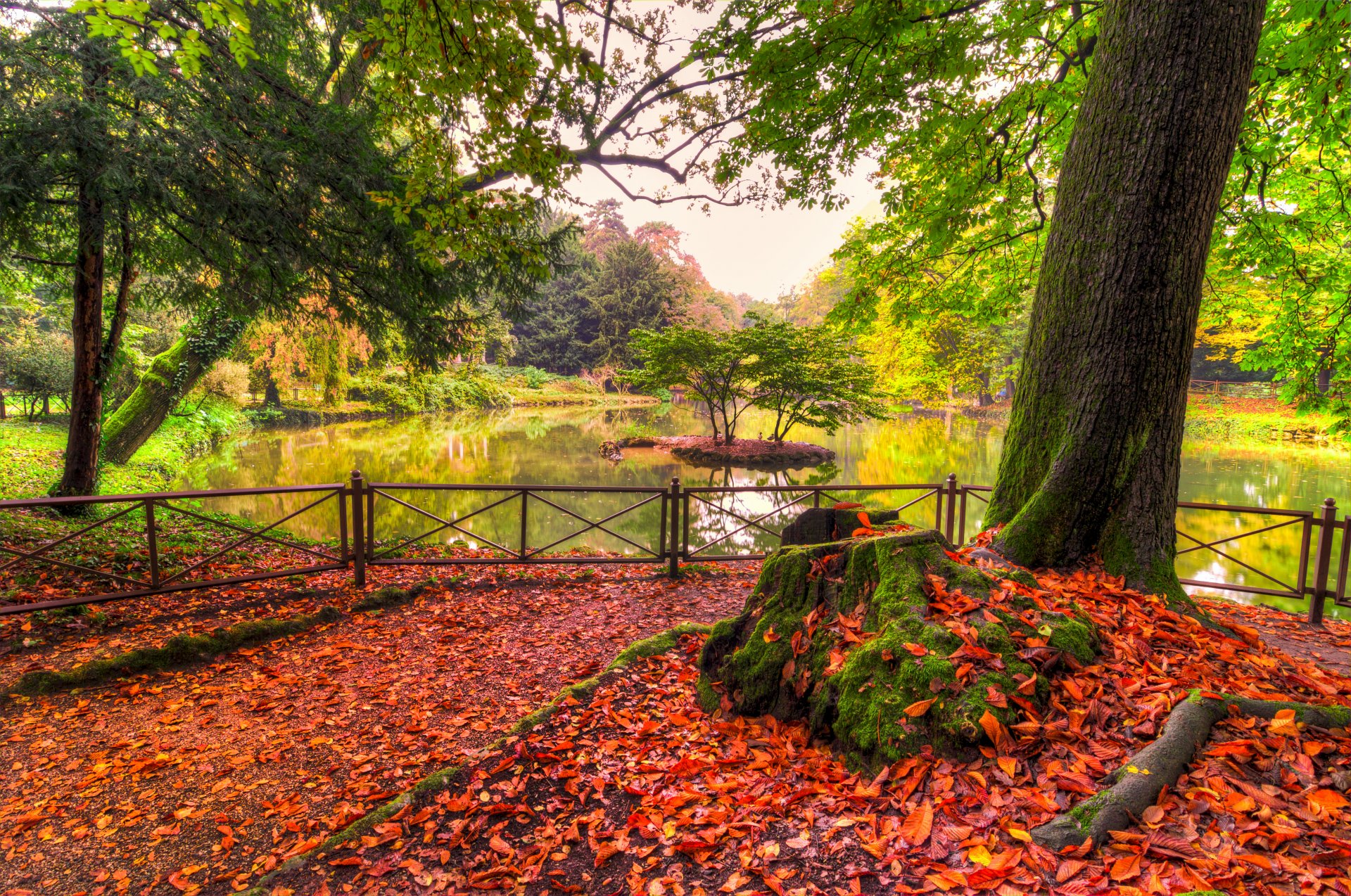 nature river water forest park trees leaves colorful autumn fall colors walk mountains sky