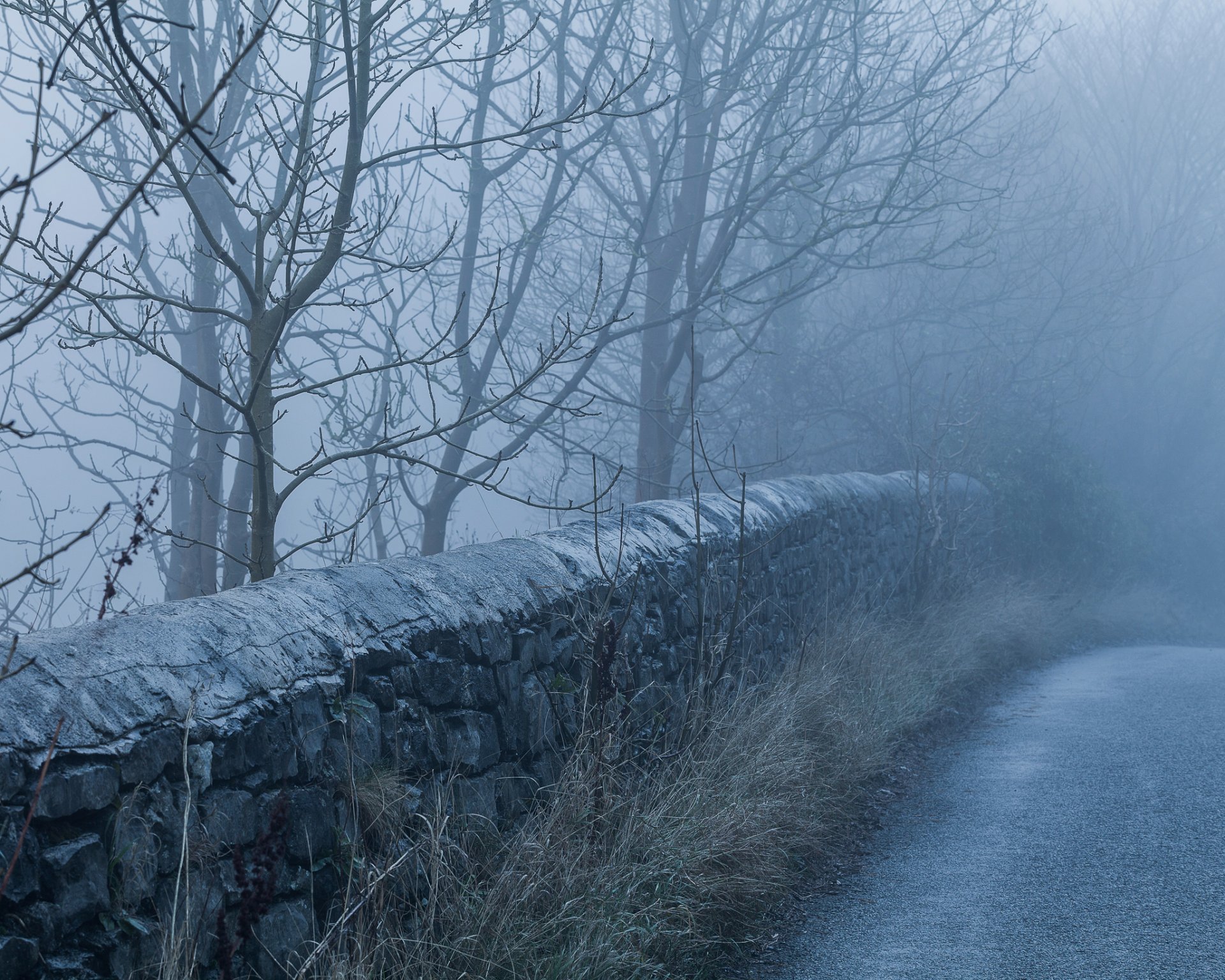 morgen nebel straße steinzaun