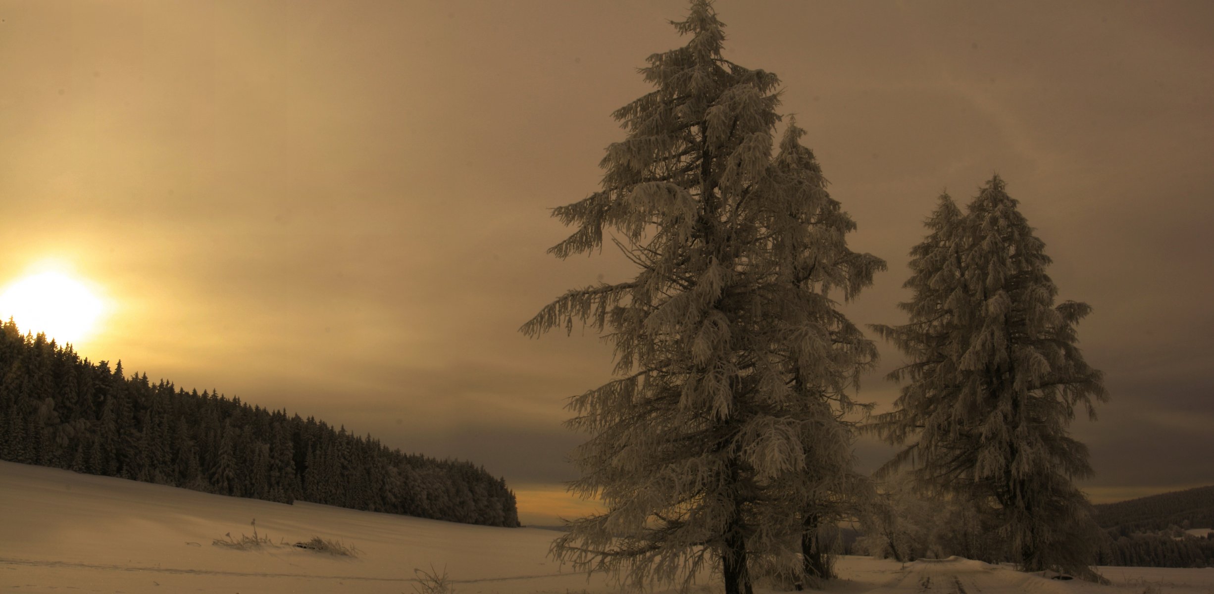 inverno šumava sera montagna foresta neve repubblica ceca boemia narodni park šumava okolí borových lad