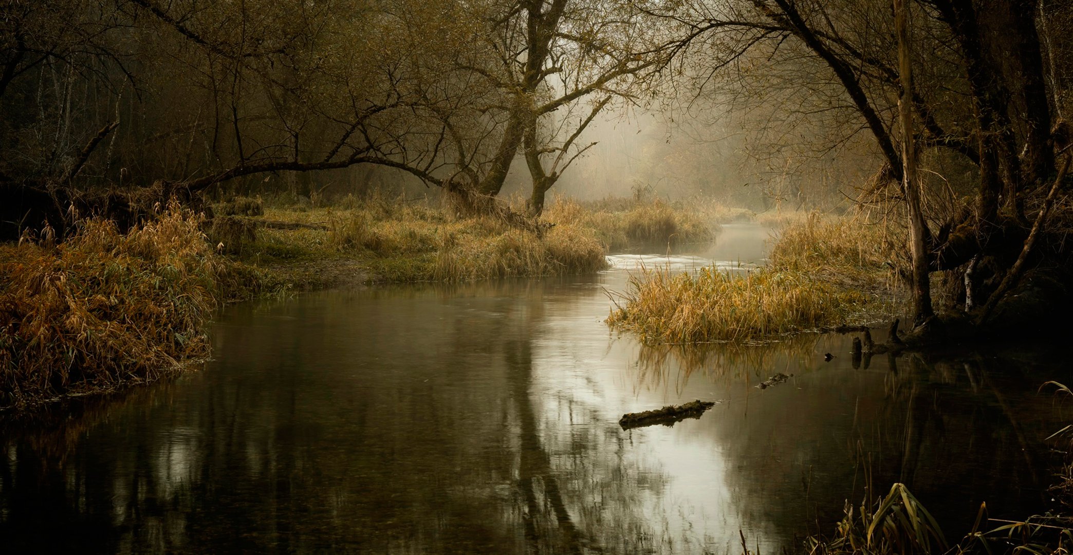 autunno novembre fiume