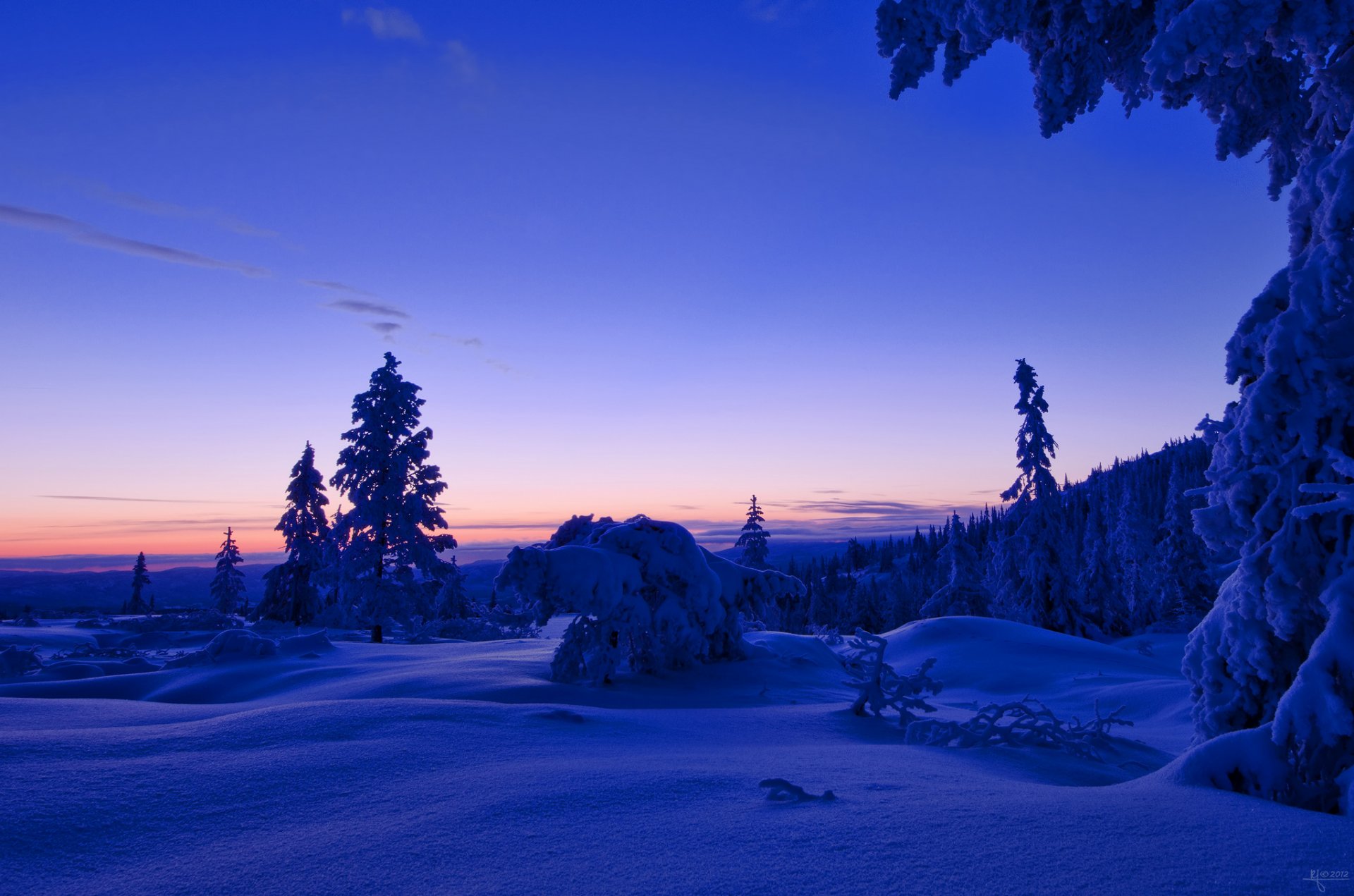 norvège hiver neige forêt arbres soir coucher de soleil ciel nuages