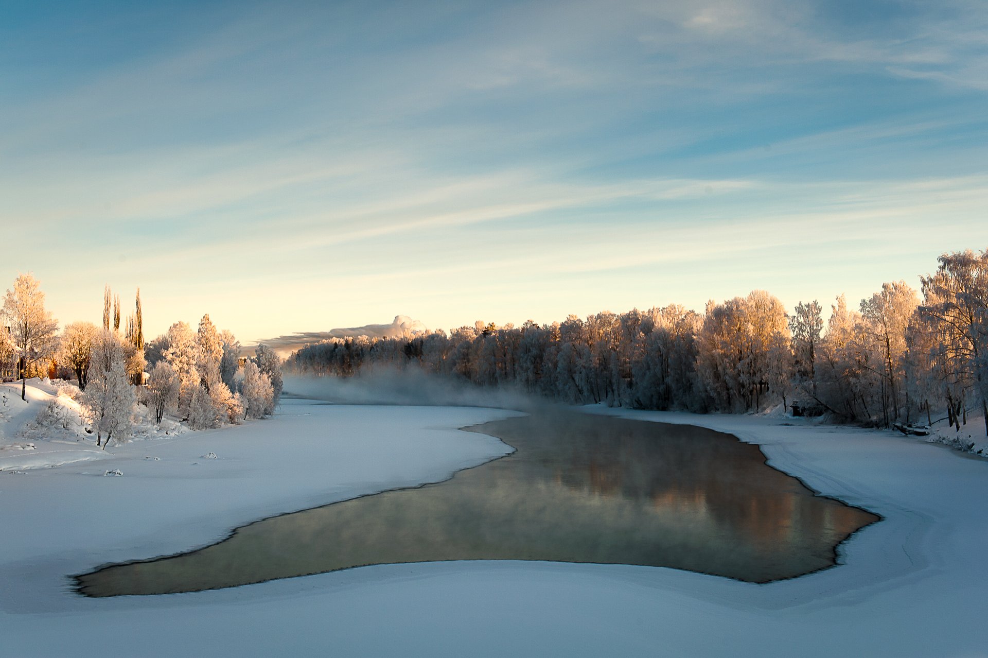 inverno neve fiume acqua ghiaccio alberi foschia nebbia