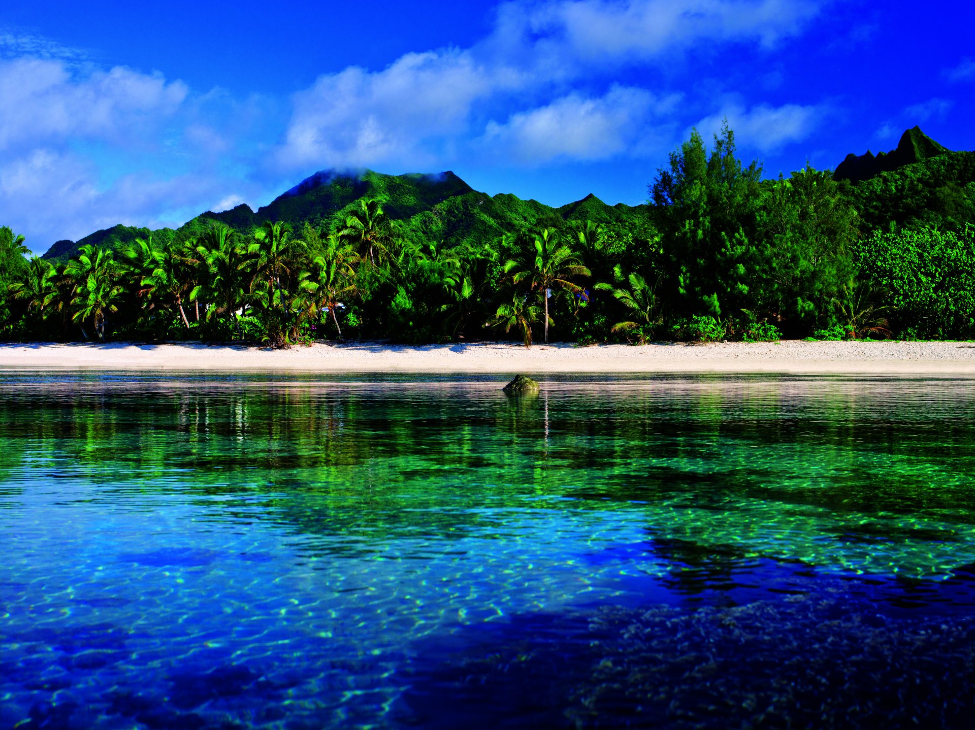 plage palmiers verdure eau montagnes nuages