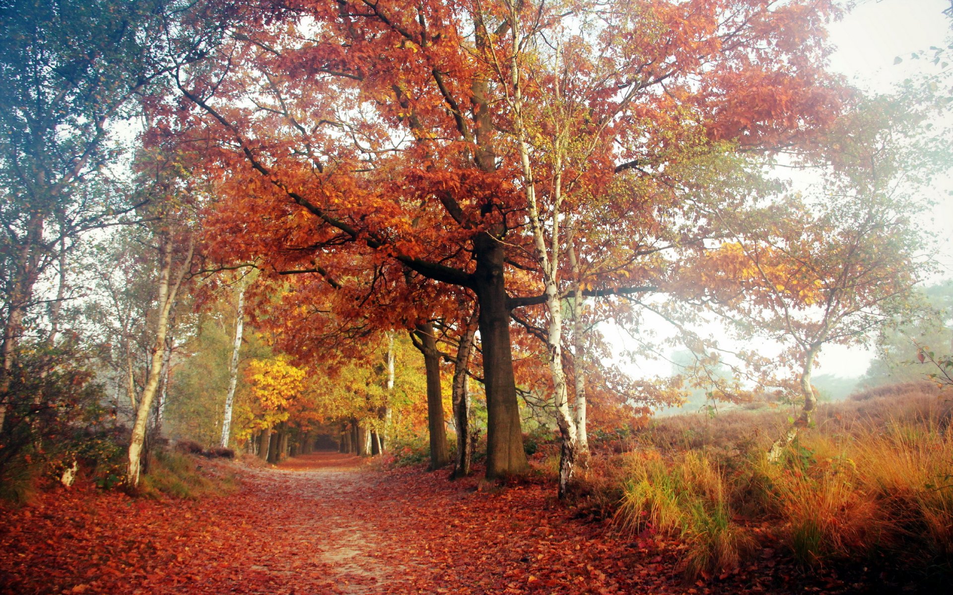 route automne nature