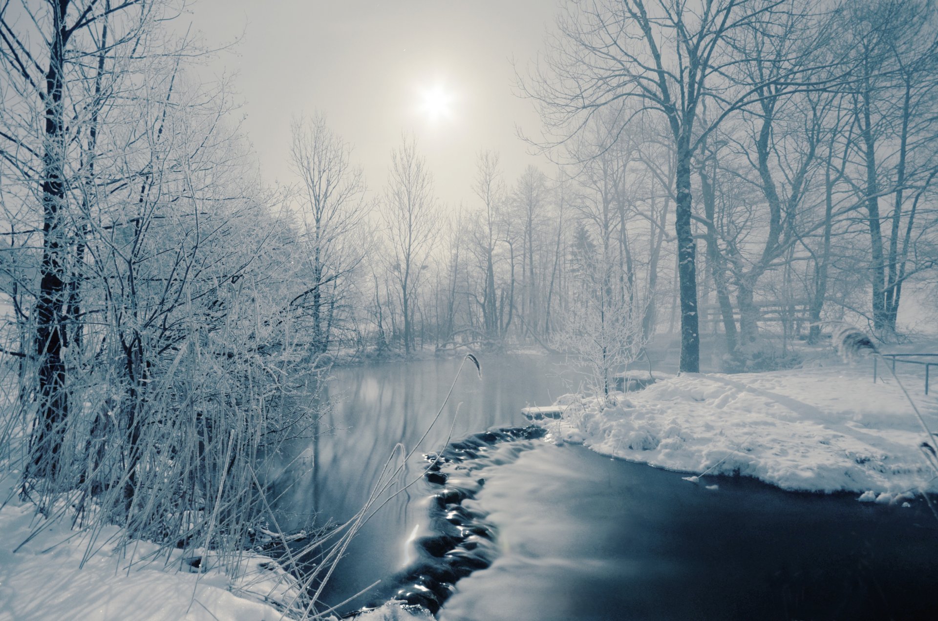 hiver rivière brouillard arbres soleil