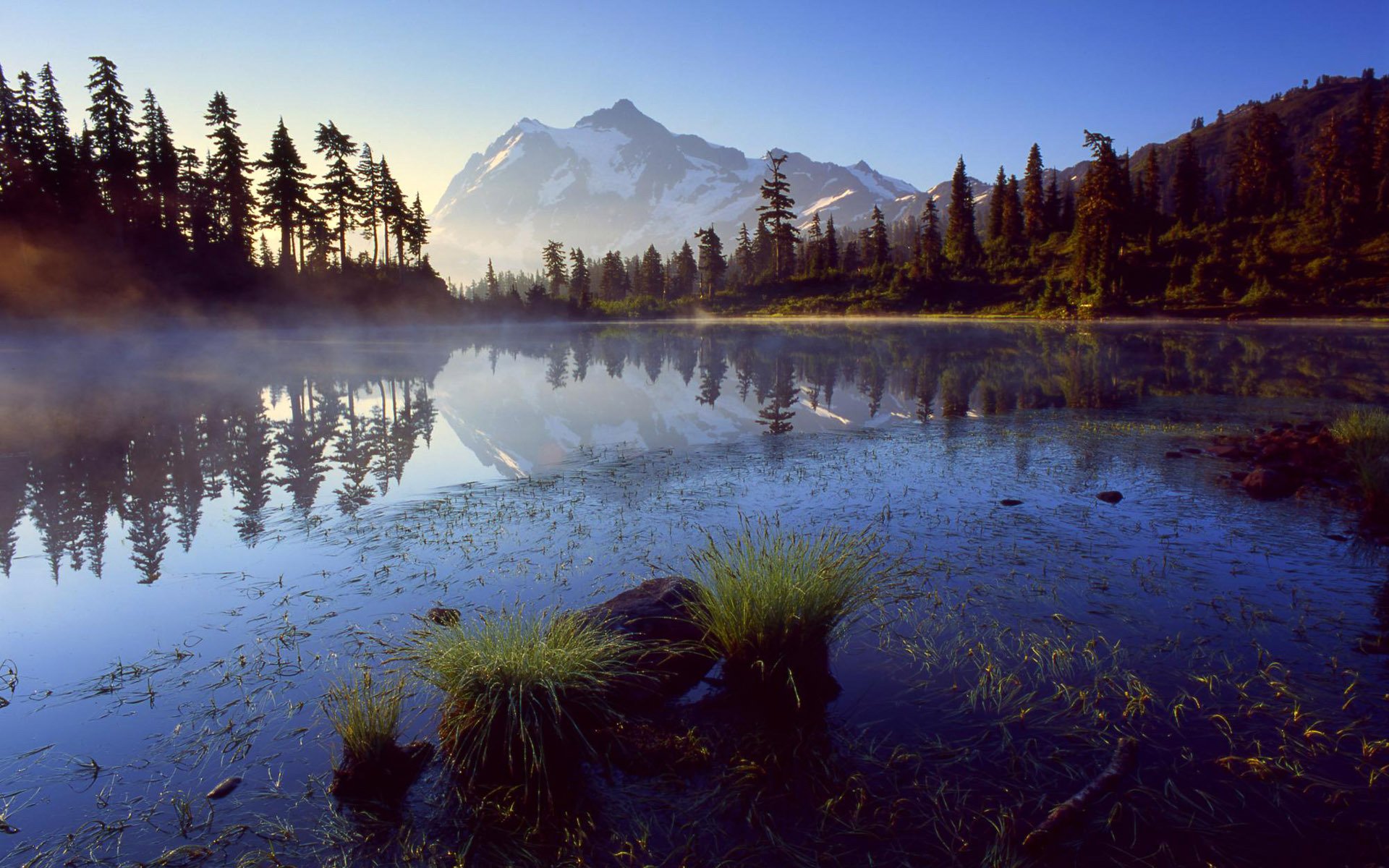 mountain lake fog spruce