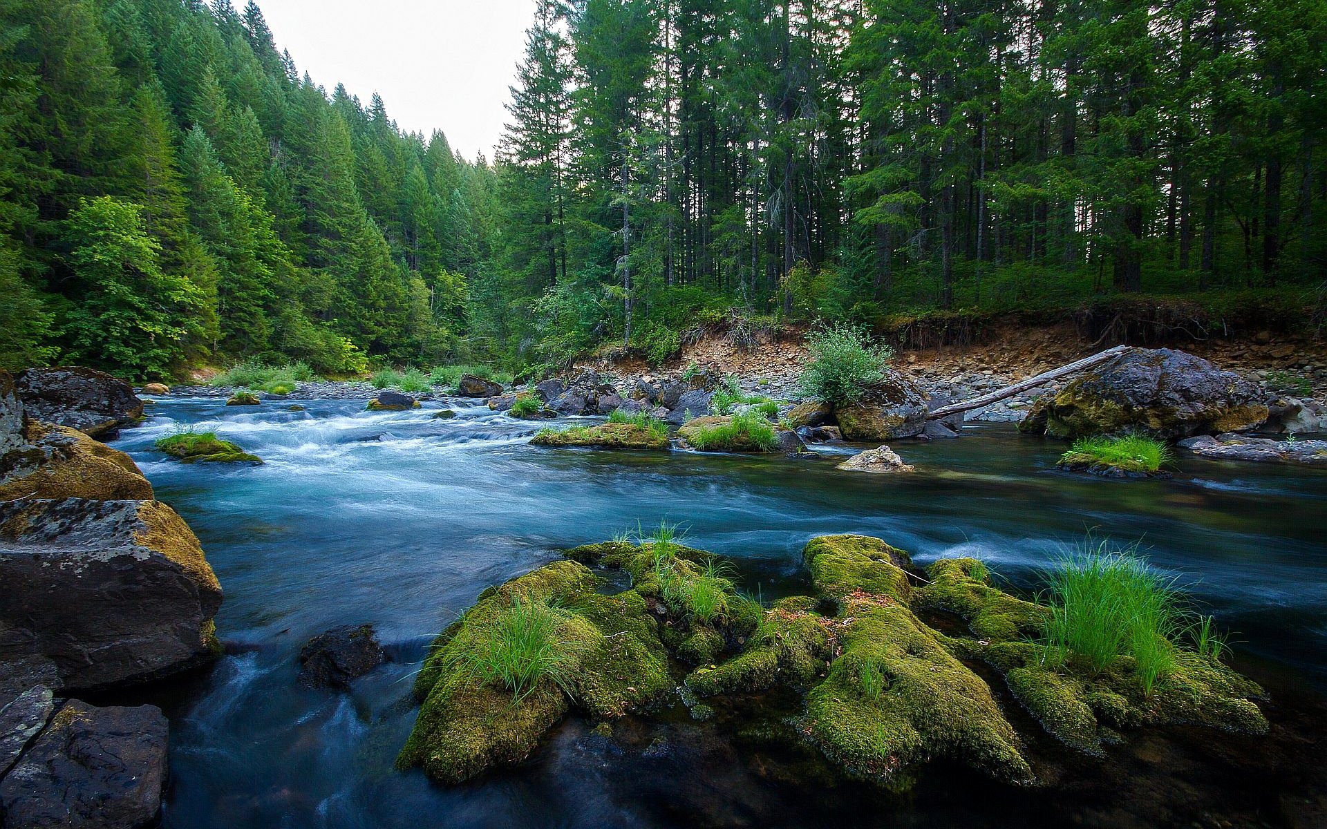 niebo las rzeka kamienie natura