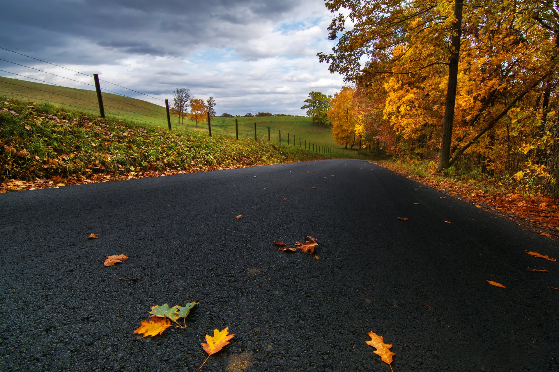 stati uniti pennsylvania strada asfalto foglie giallo campi alberi nuvole autunno natura