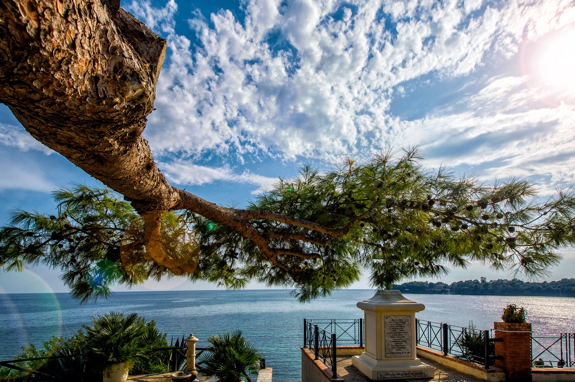 mer arbre branche ciel nuages