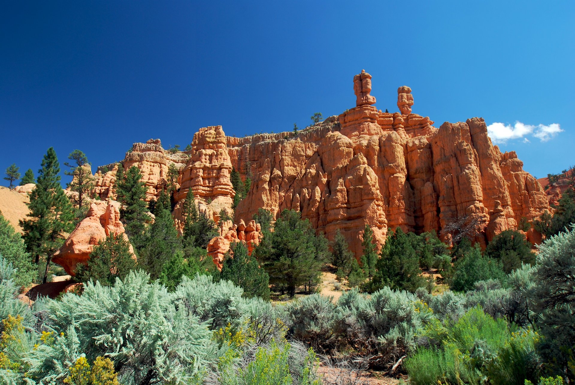 utah canyon rouge montagnes arbres pente ciel