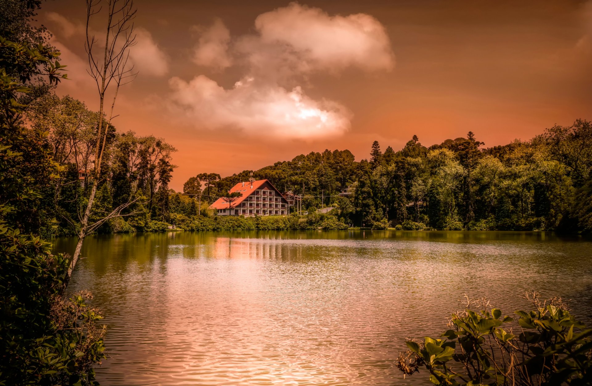 tranquilidad casa árboles