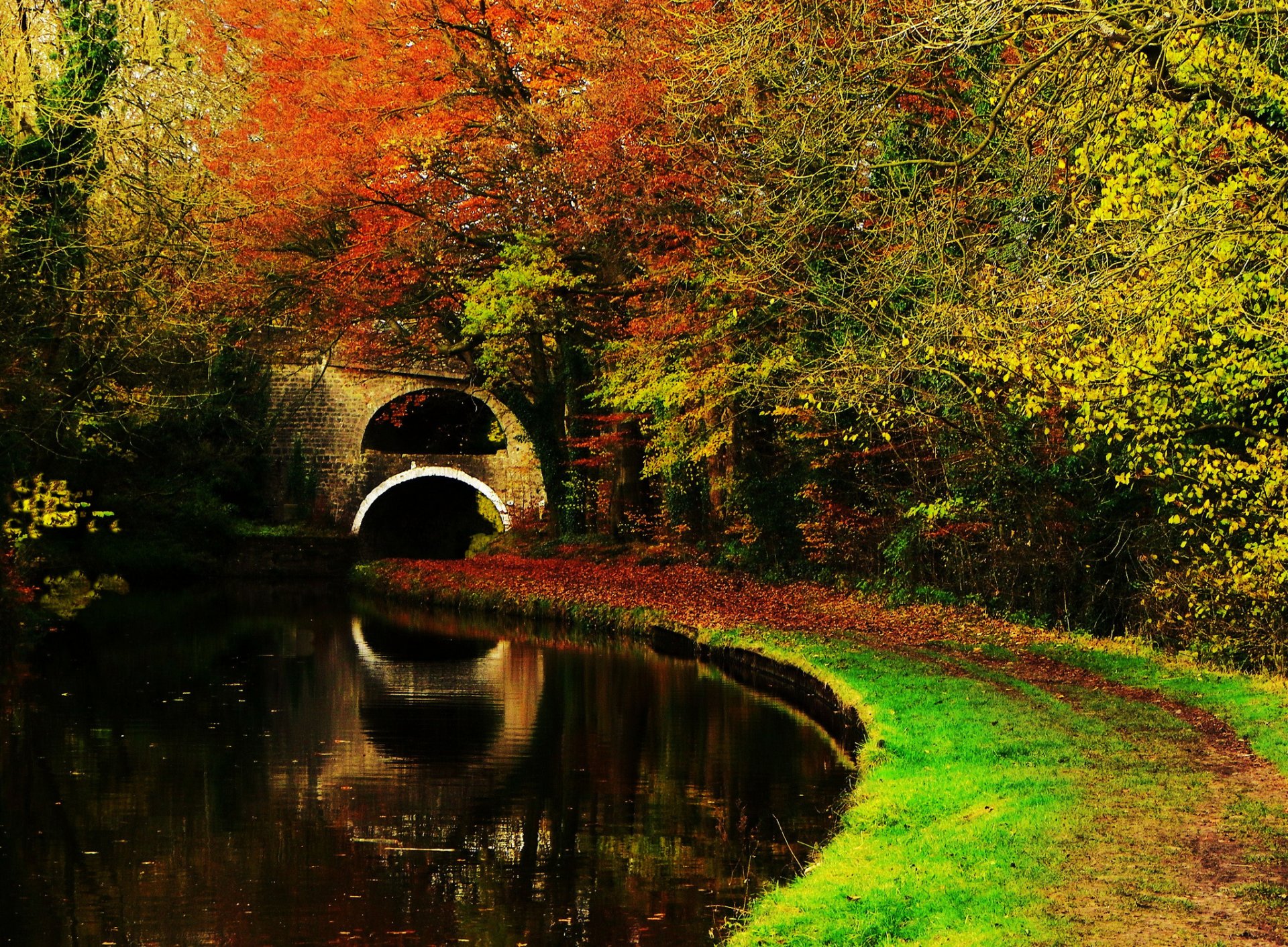 nature landscape forest autumn tree leaves lake