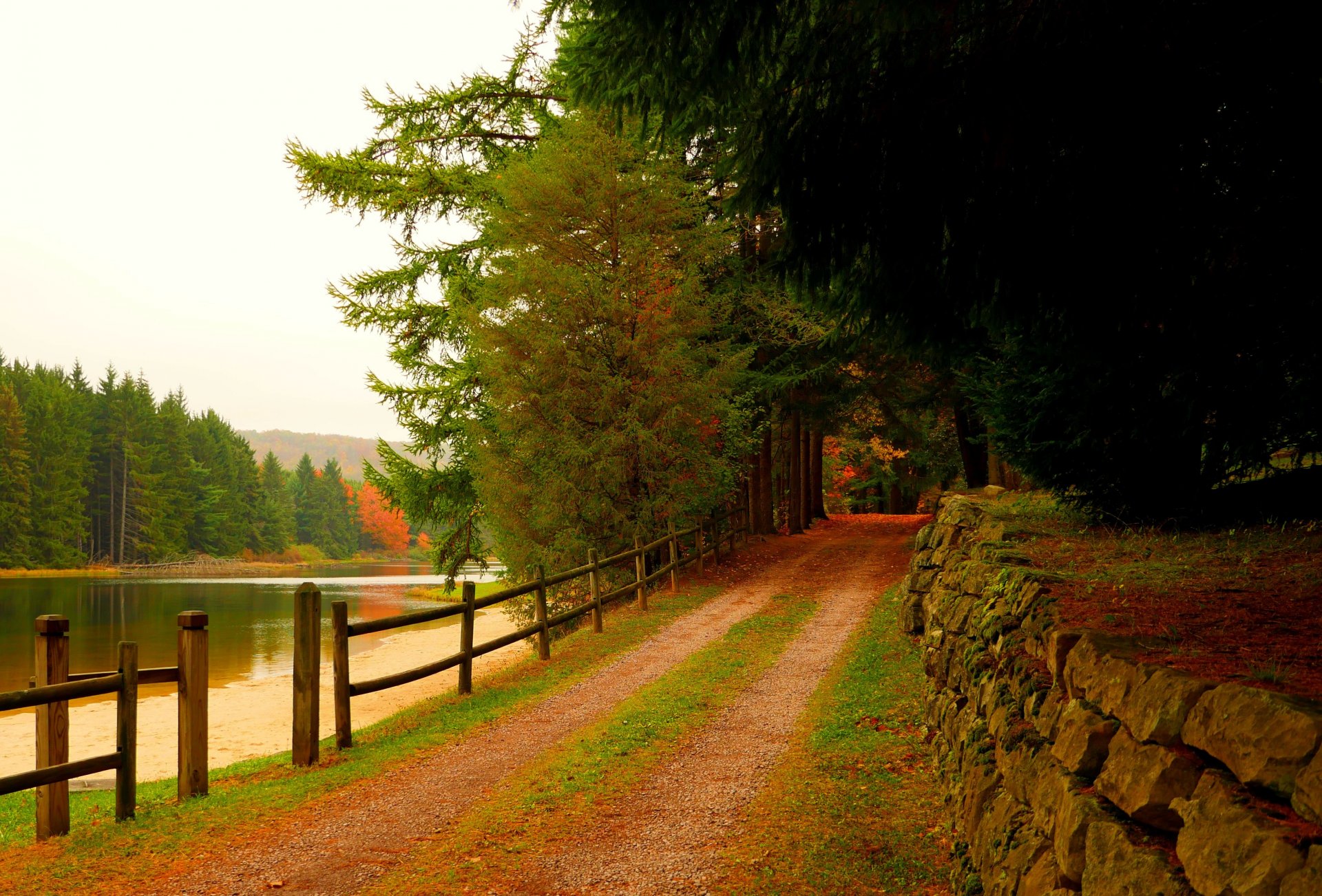 nature river water forest park trees leaves colorful autumn fall colors walk mountains sky