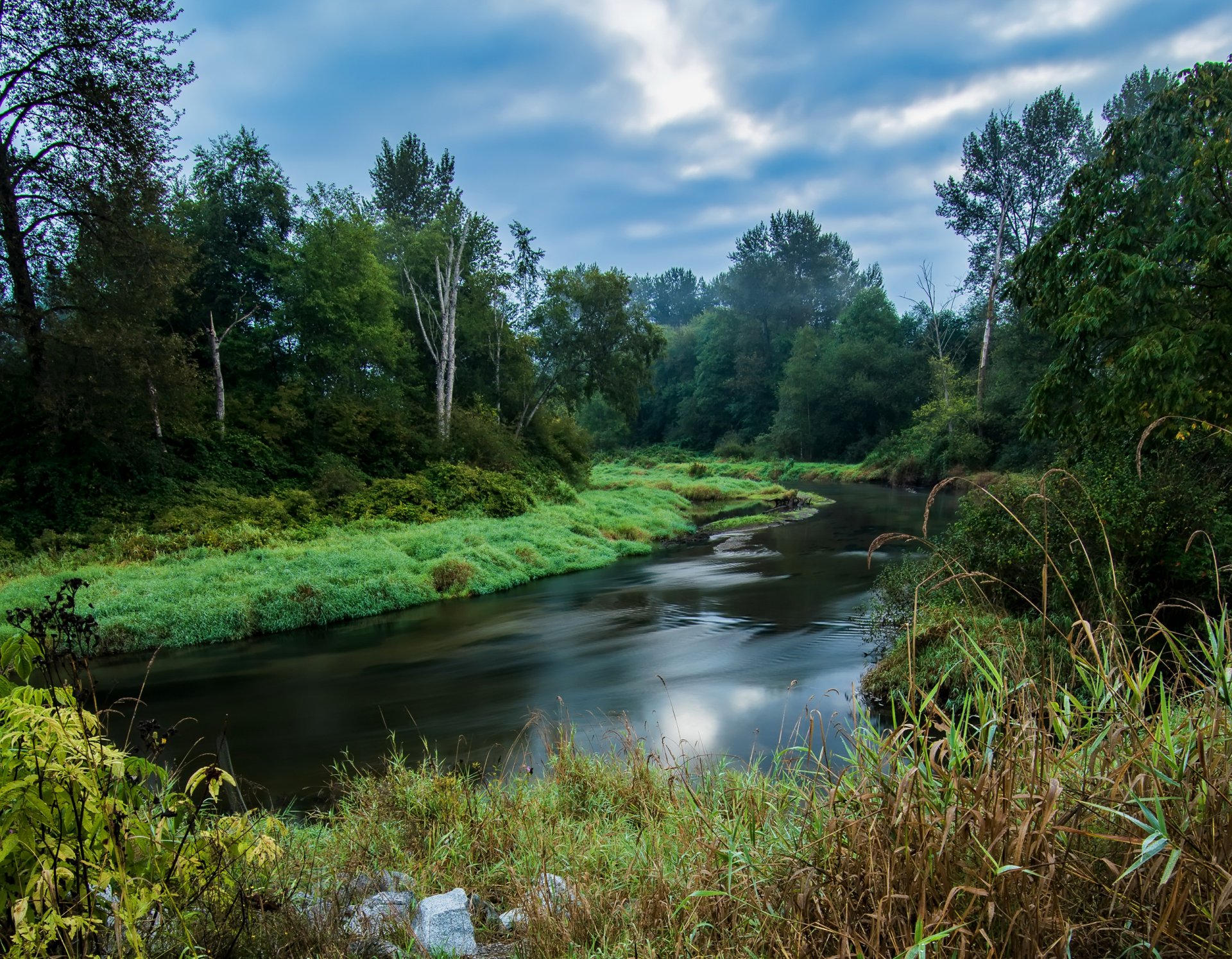 britisch-kolumbien kanada himmel wald bäume fluss büsche gras landschaft