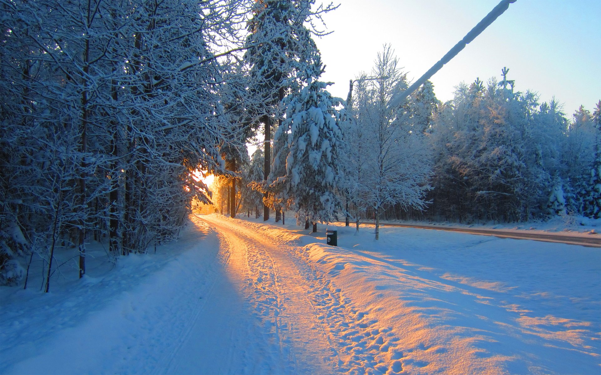 forêt parc lanterne route hiver neige coucher de soleil