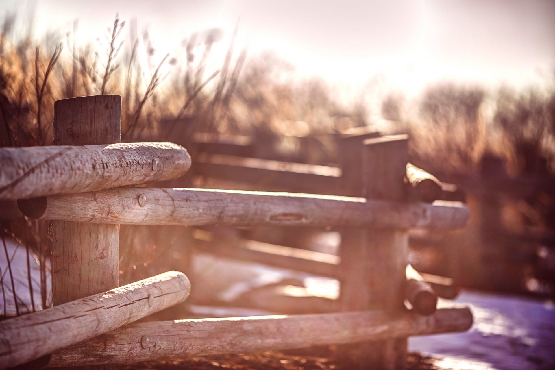 fence fence posts blur