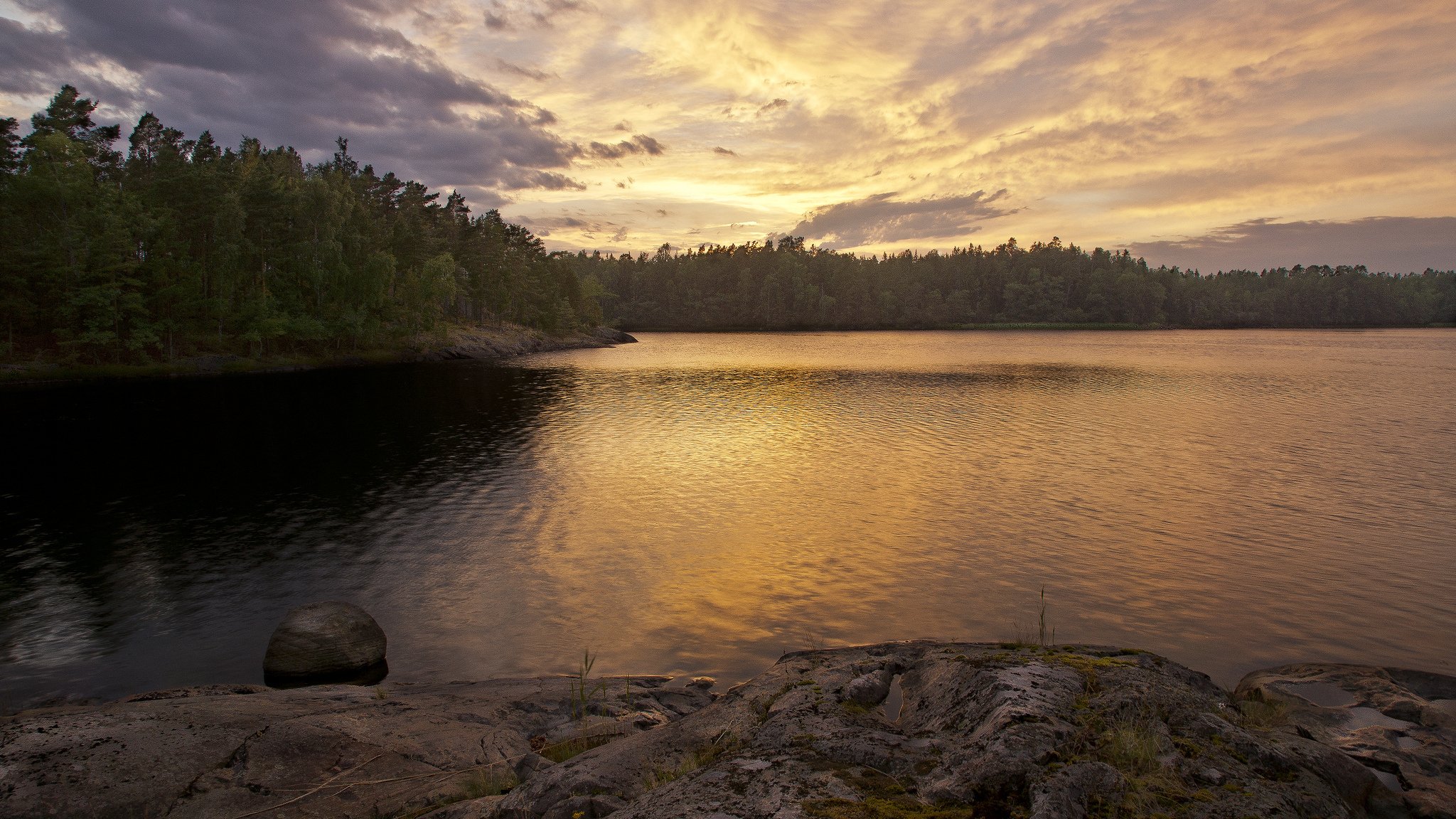 bosque lago puesta de sol