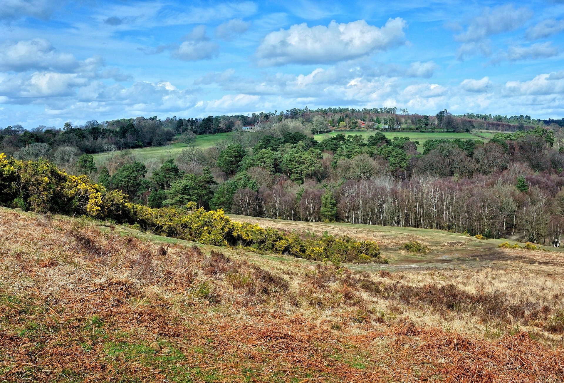 sussex oriental campo paisaje