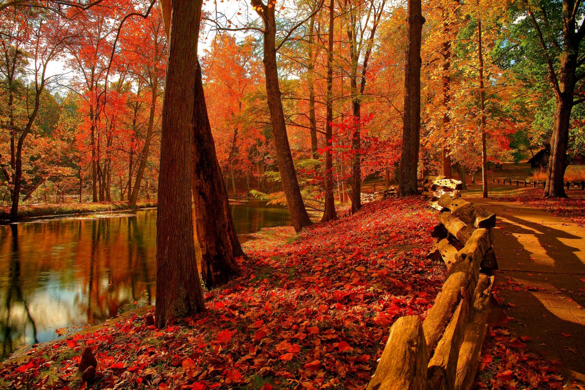 naturaleza cielo río agua bosque parque árboles hojas colorido otoño caída colores paseo montañas