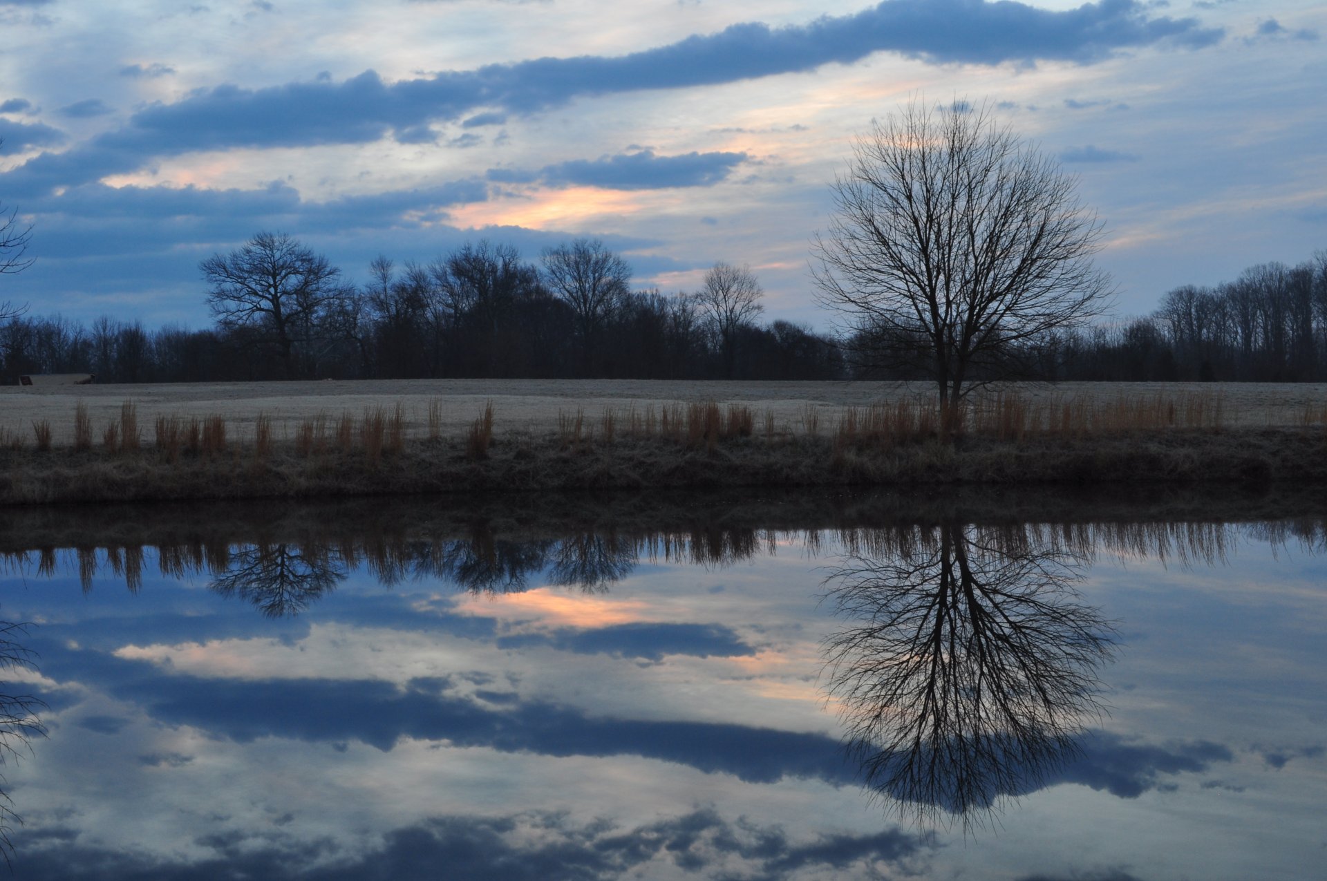 evening field clearing forest trees river sky clouds clouds reflection