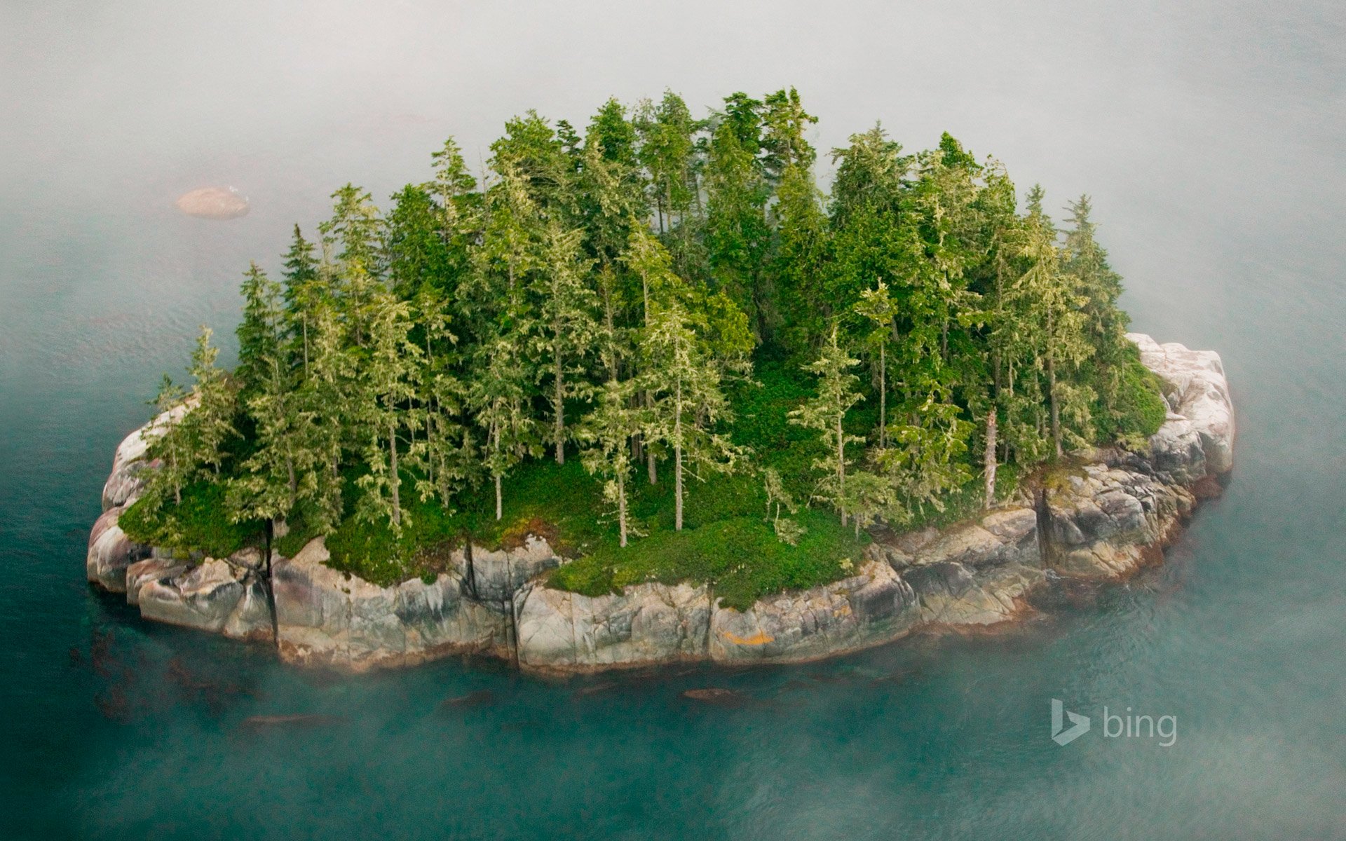 archipiélago de broughton columbia británica canadá isla roca árboles niebla