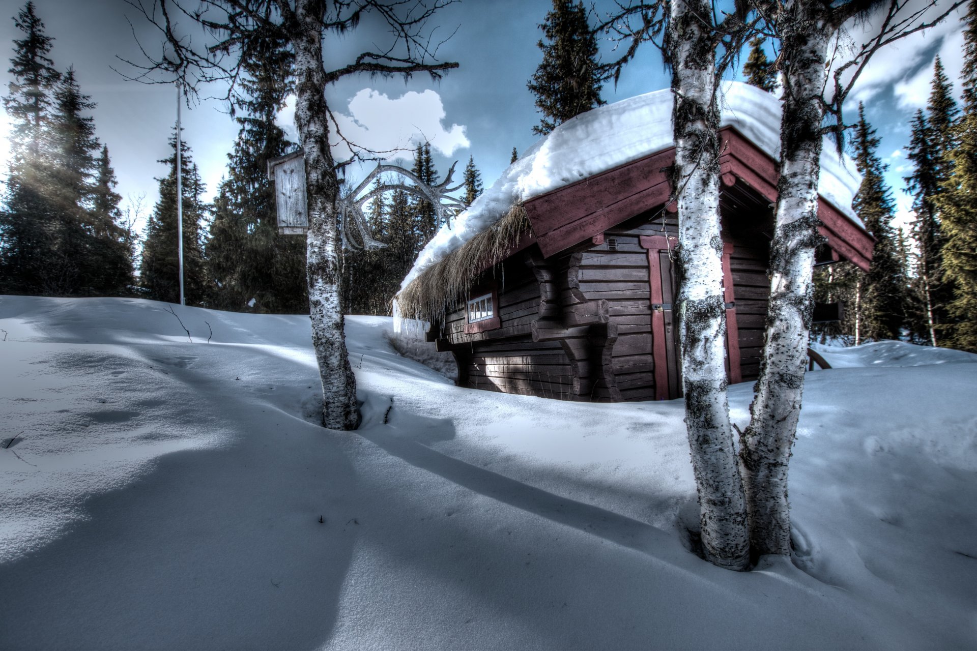 invierno nieve cabaña árboles cuernos abedul abeto bosque cielo nubes luz puesta de sol nieve