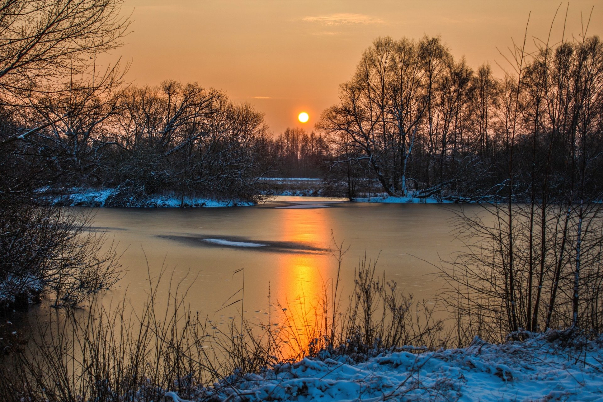 winter snow water tree sky sun