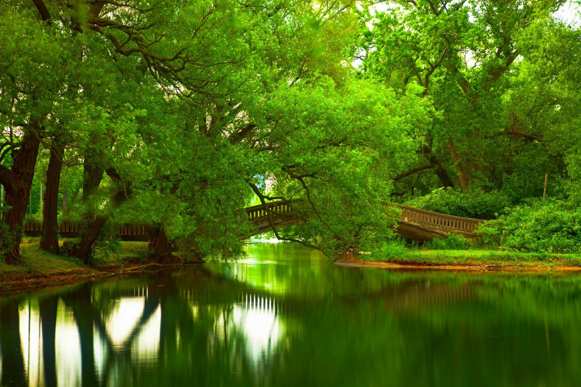 naturaleza río agua bosque parque árboles puente hojas colorido primavera caída colores paseo montañas