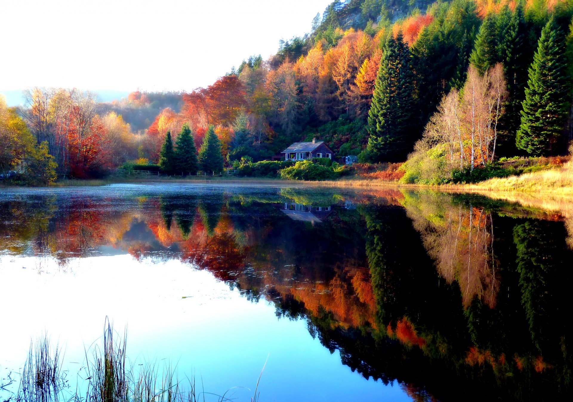 naturaleza paisaje bosque otoño árboles hojas lago