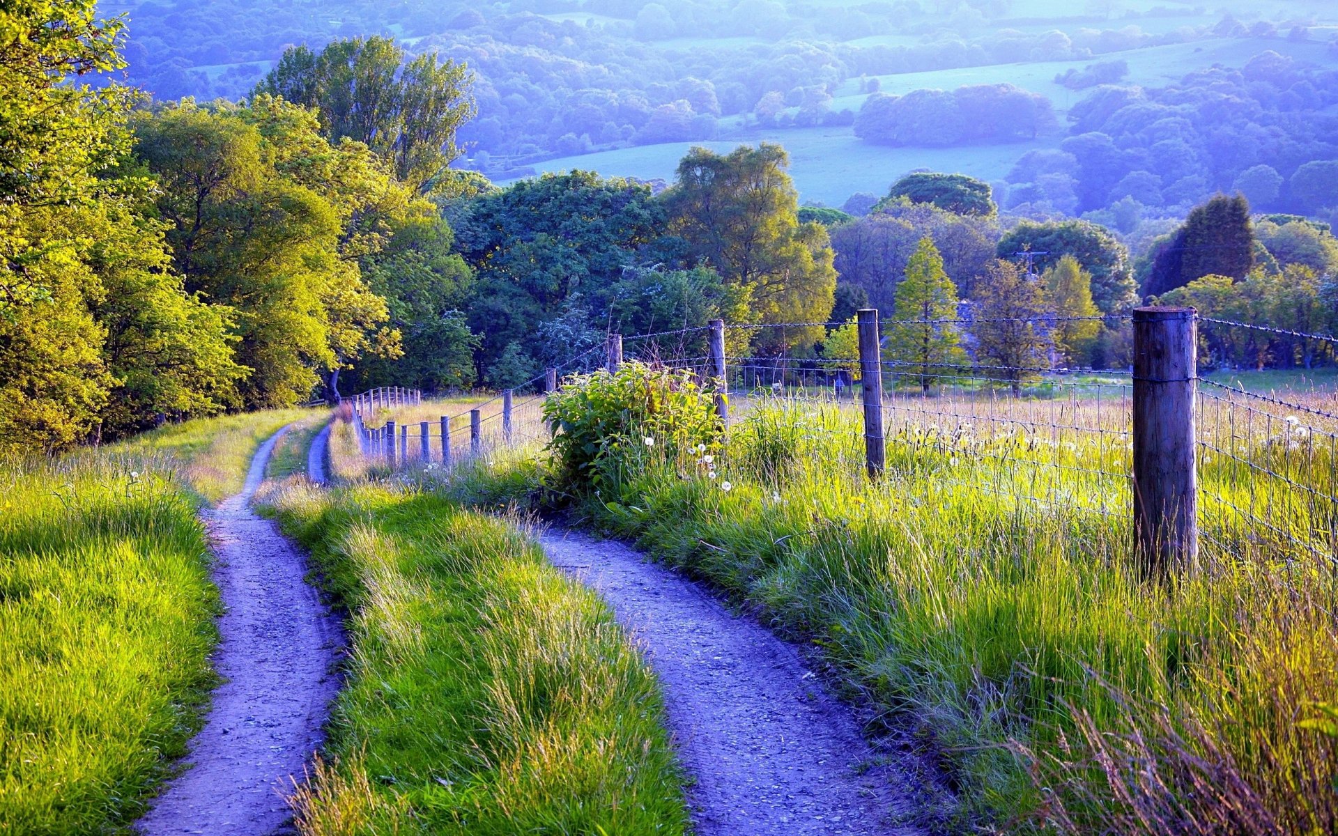 valla carretera hierba árboles naturaleza