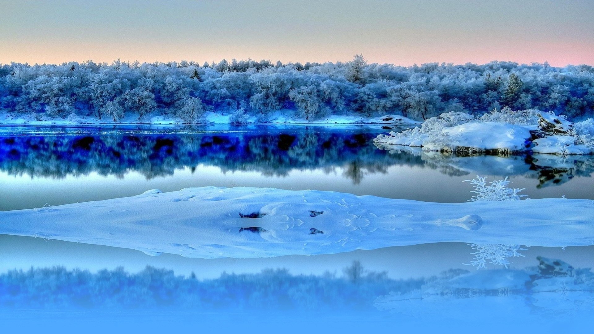 cielo bosque río árboles reflexión nieve escarcha invierno