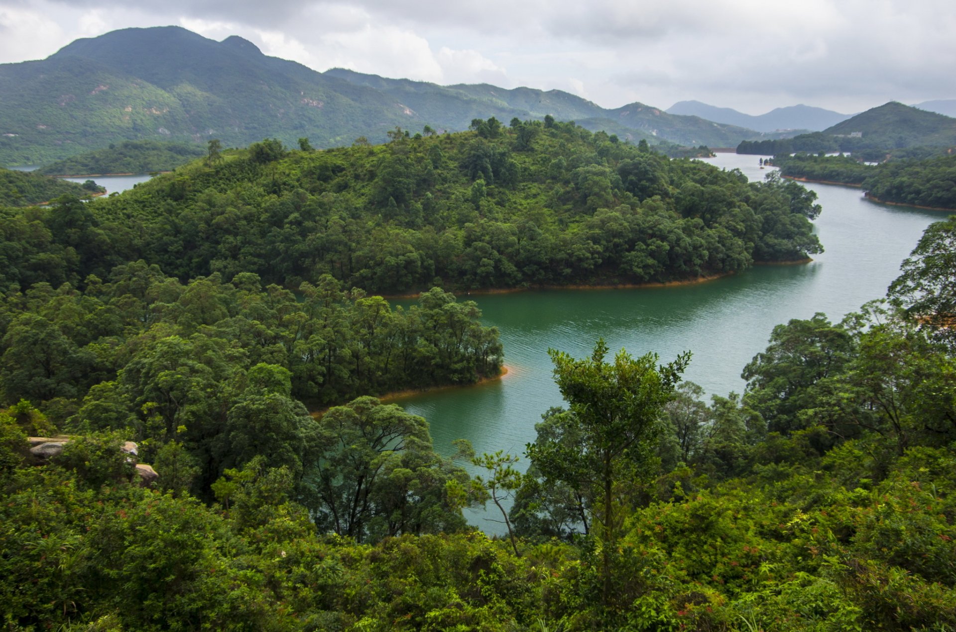 china hong kong río ríos bosque montañas