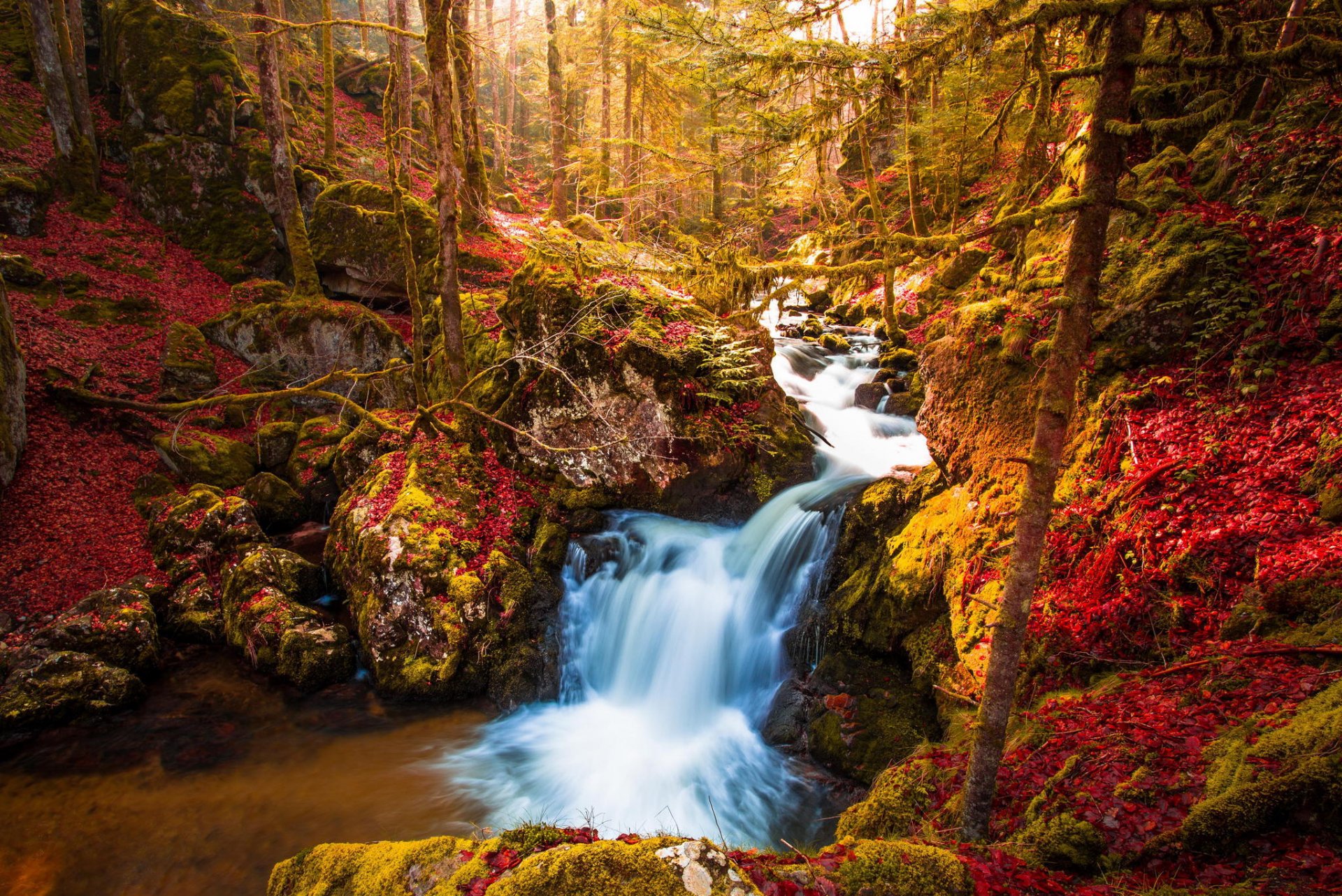 wald wasserfall bäume natur herbst