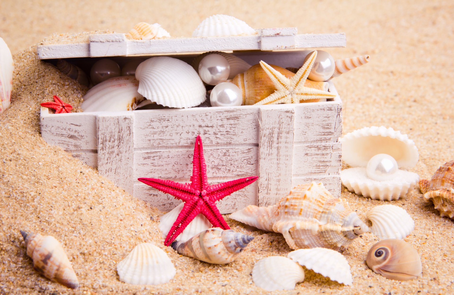 nature sea sand seashells starfish pearl chest